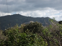 cantara gurne23122011 139